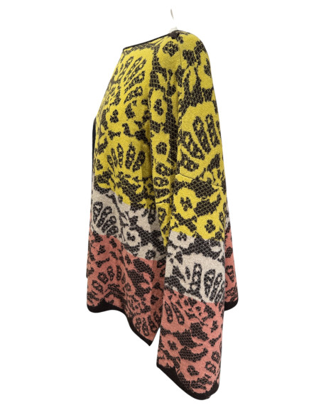 PHISIQUE DU ROLE Pull Multicolore