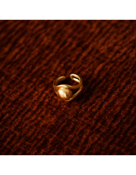 CLARIS VIROT Bague Chevalière OSMOSE