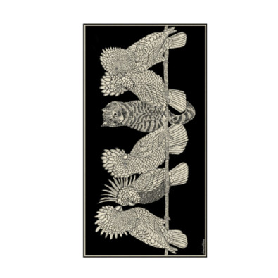 INOUÏ EDITIONS Etole CARACAT Noir