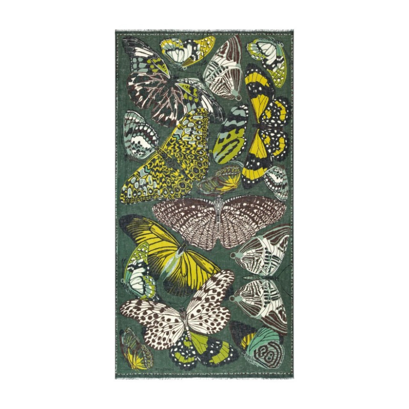 INOUÏ EDITIONS Etole PAPILLONS Kaki